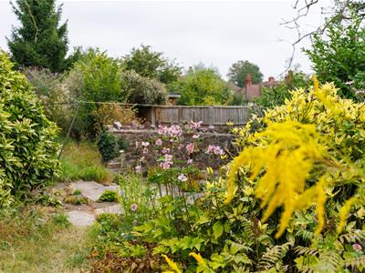 Picture 16